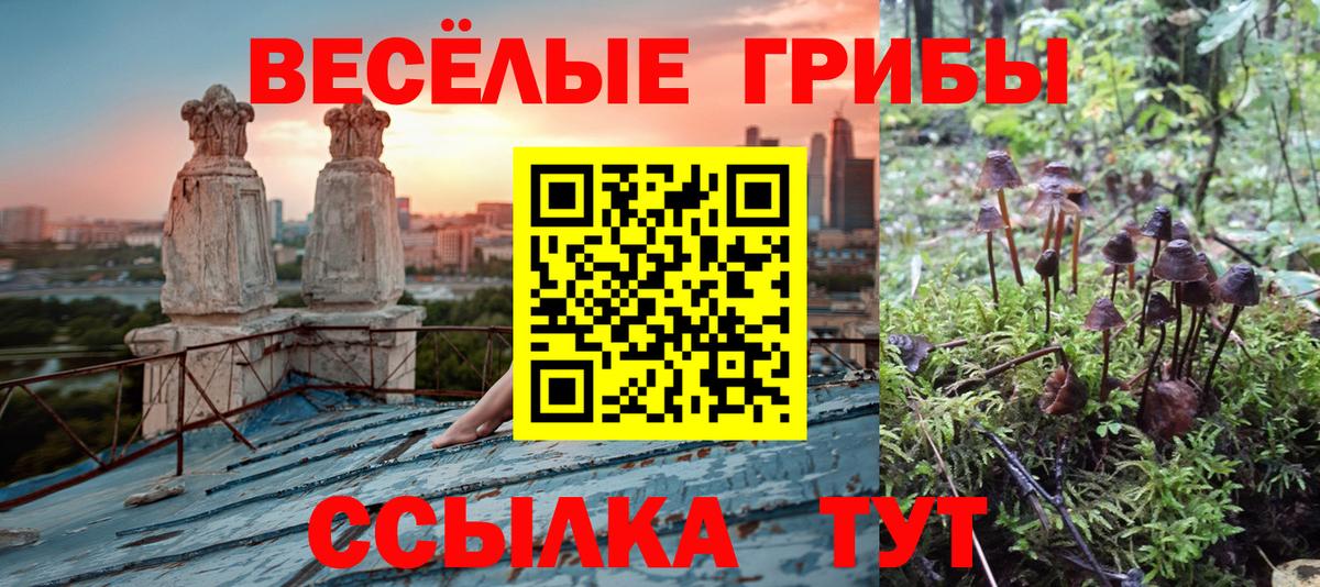 Бийск  Псилоцибиновые грибы GOLDEN TEACHER  Вход с VPN 