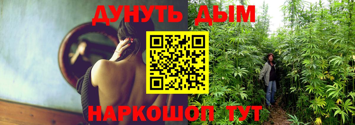 Бошки марихуана конопля  Вход с VPN  Шишки марихуана Ganja  Шишки марихуана Ganja  Бийск 